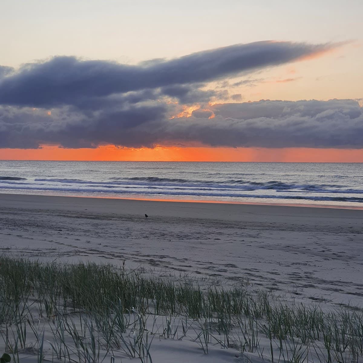 Arakwal National Park photo 4