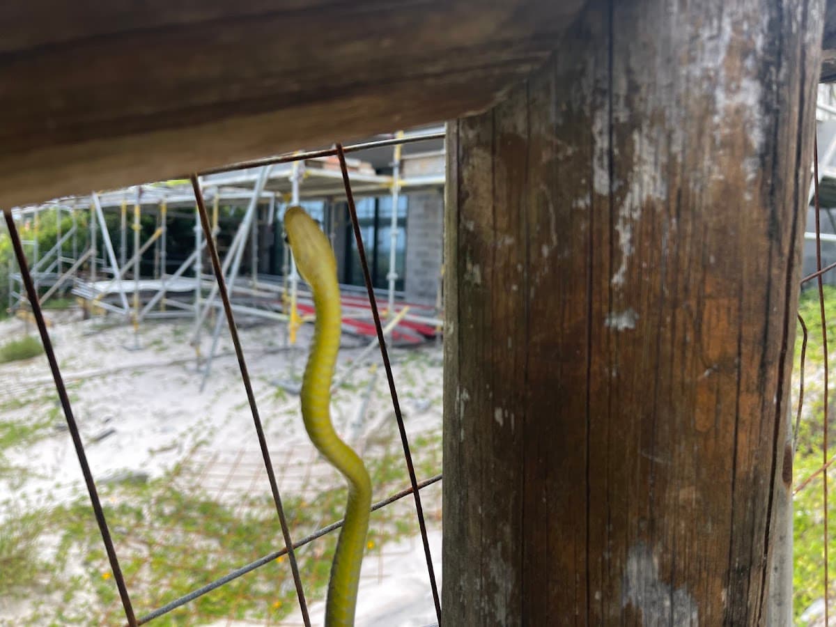 beach access points 26 photo 5