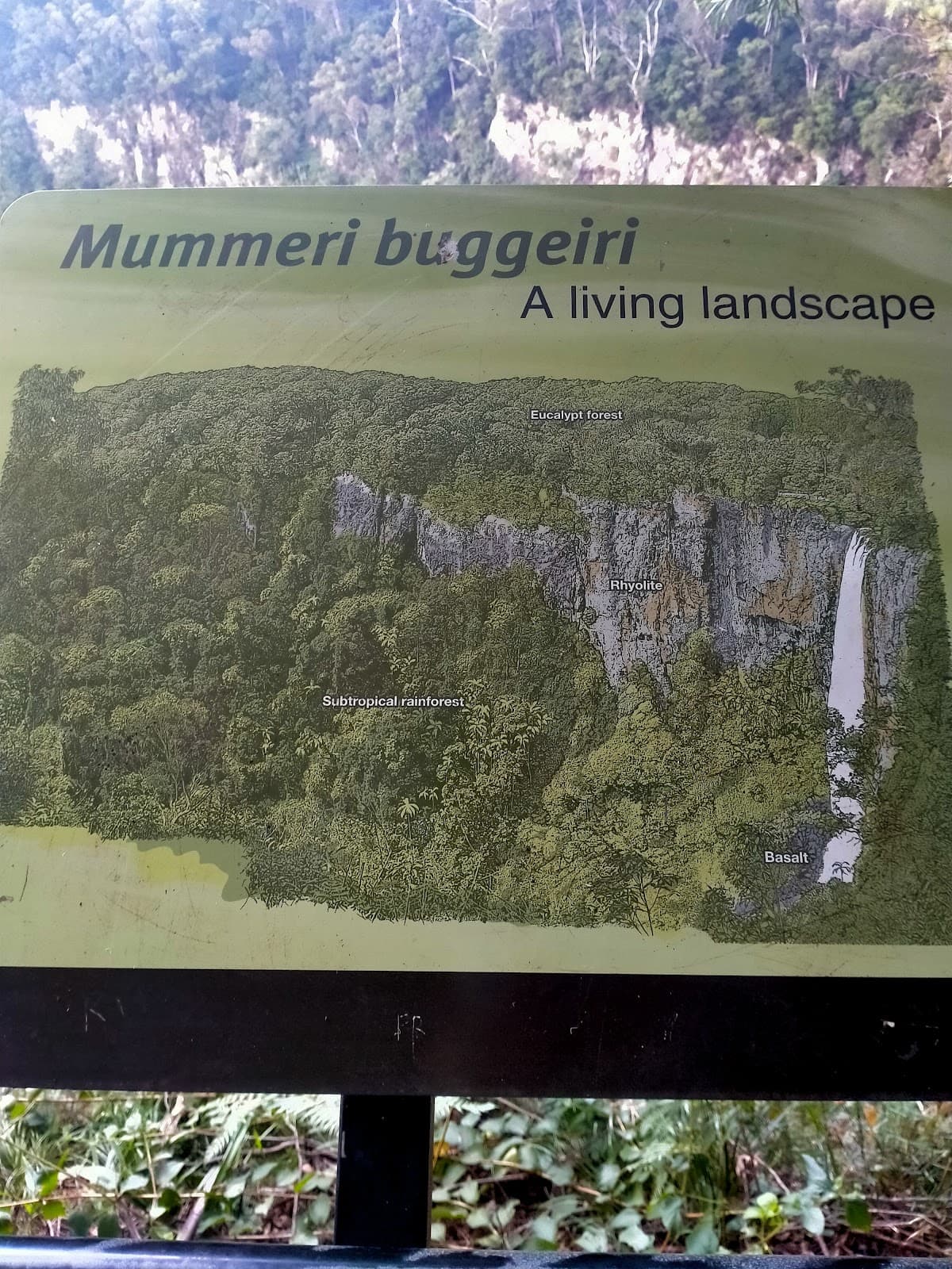 Best of All Lookout photo 3