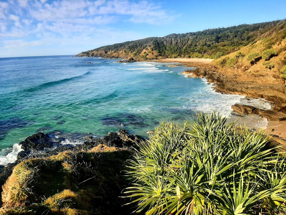 Broken Head Nature Reserve photo 3