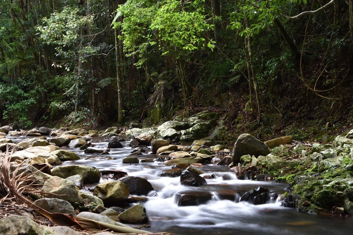 Cougal Cascade photo 2