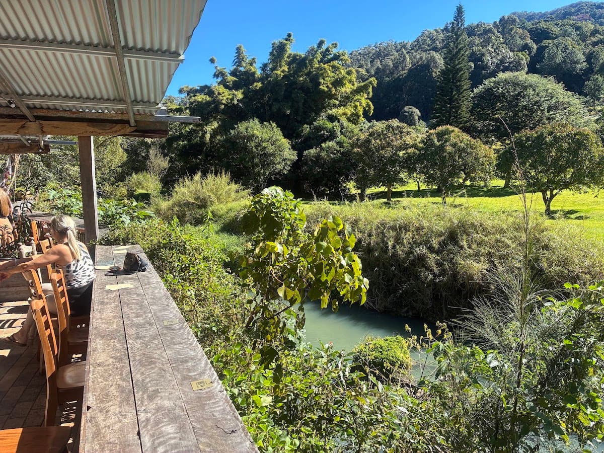 Currumbin Valley Harvest photo 5