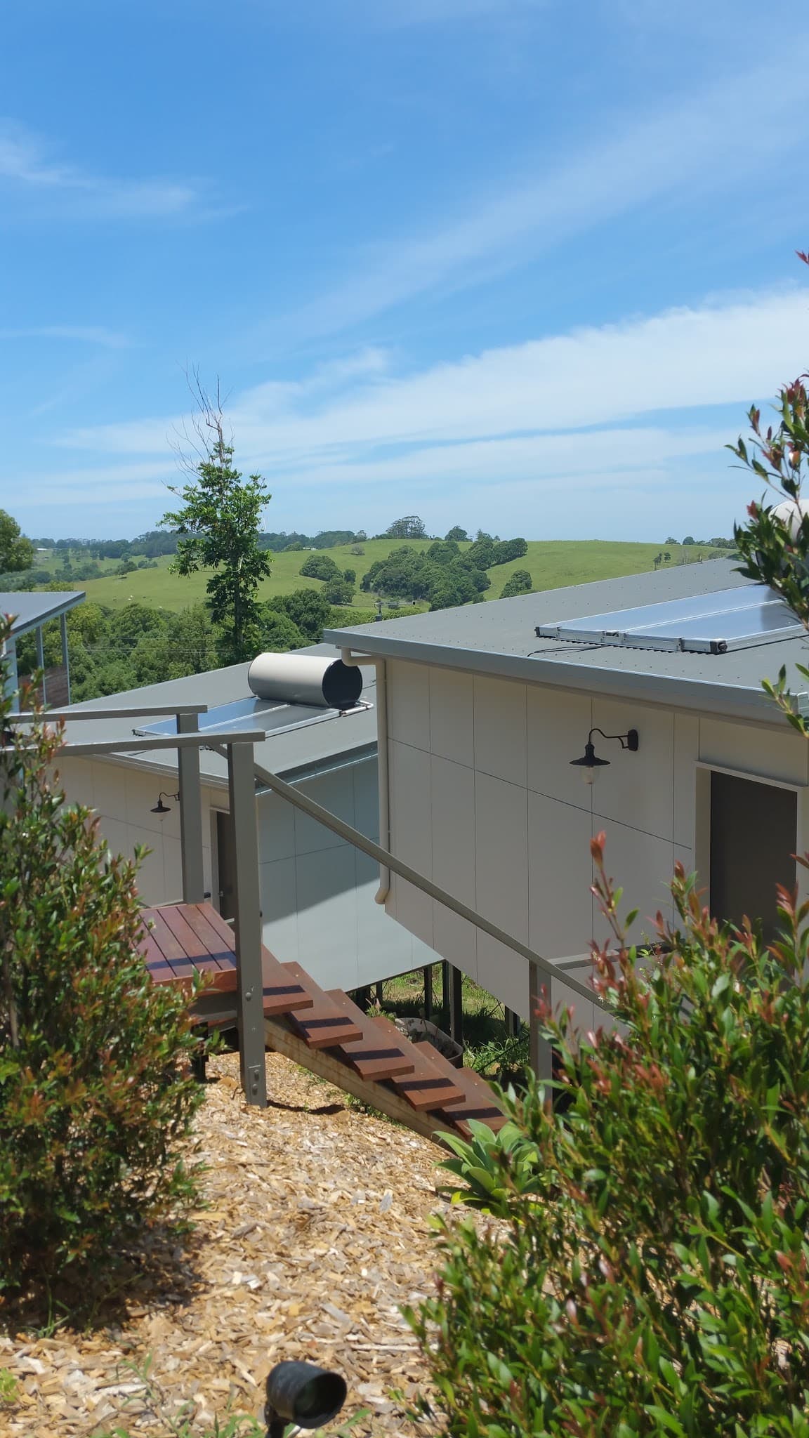 Dreaming Woods photo 1