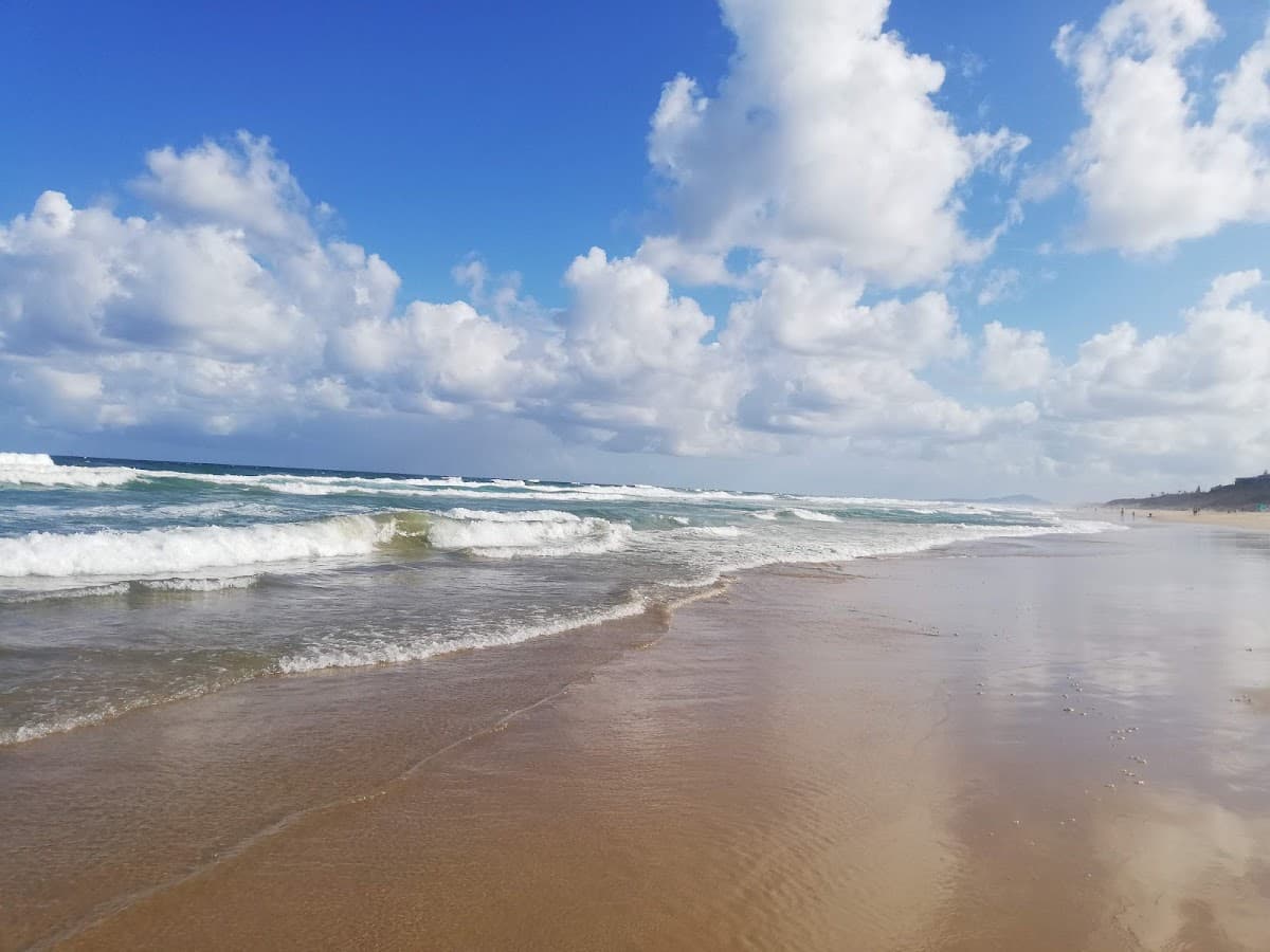 Ed Webb Park photo 3