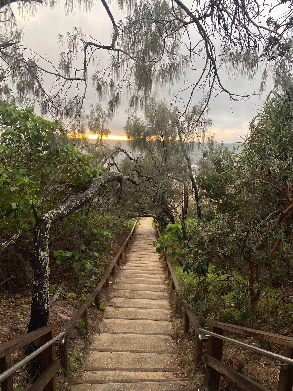 Ed Webb Park photo 5