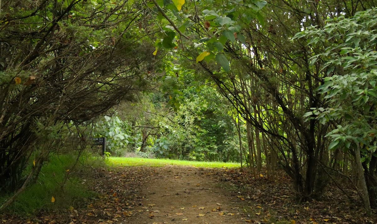 Hinterland Regional Park photo 2