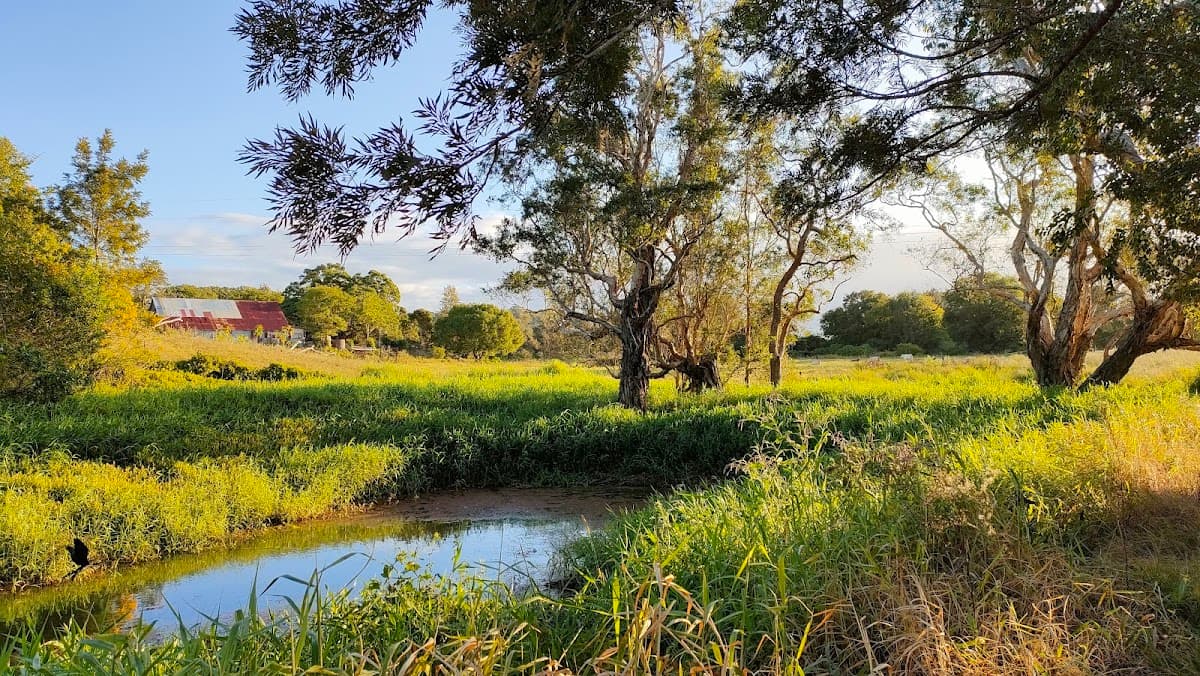 Hinterland Regional Park photo 4