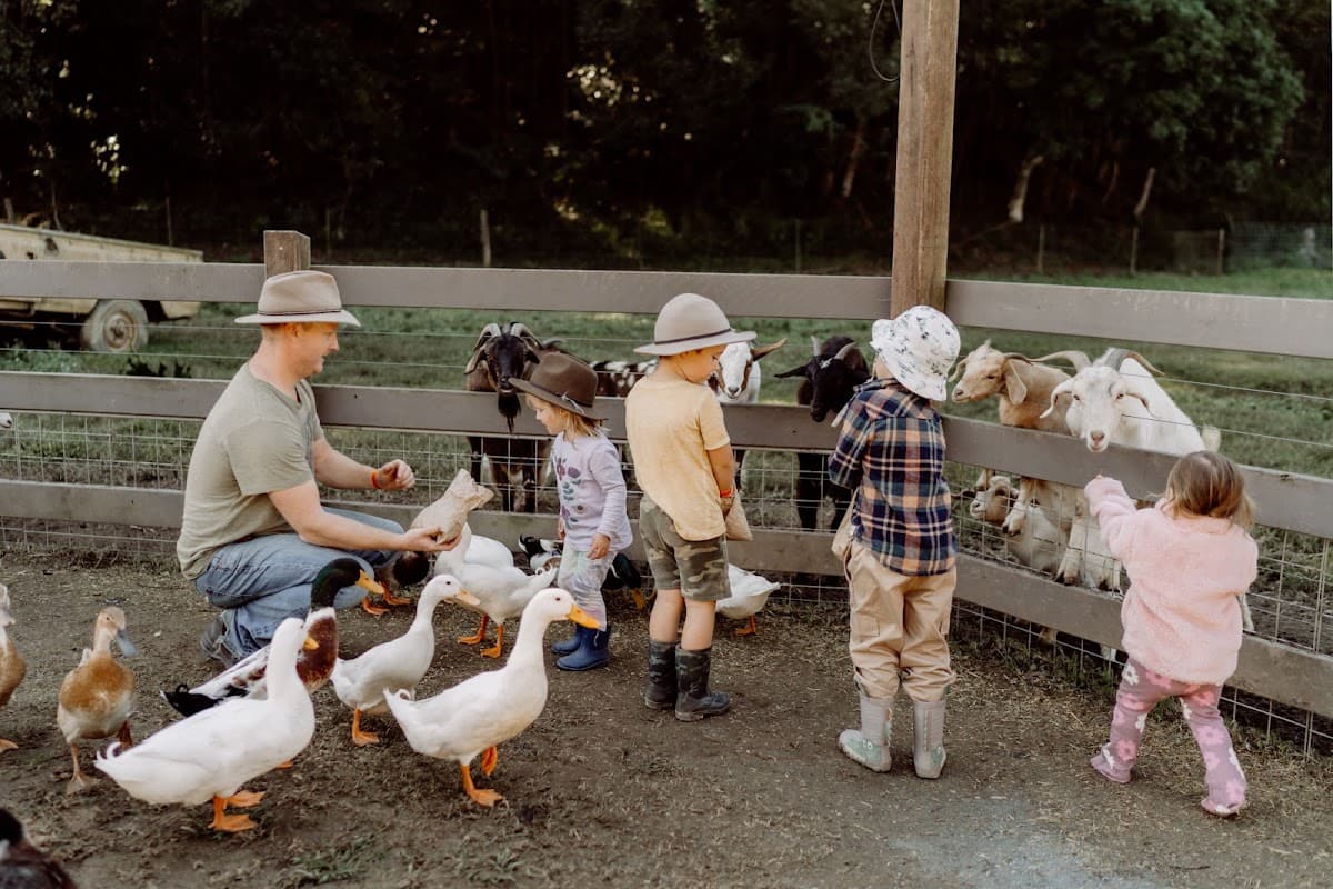 Hosanna Farmstay photo 3