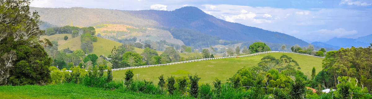 Hosanna Farmstay photo 4