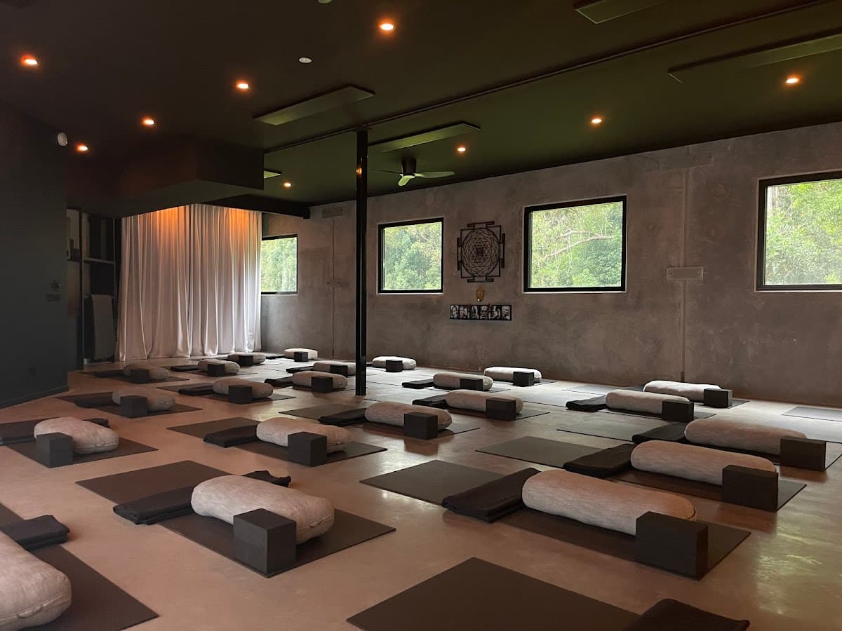 HOV Yoga - Heart of Vinyāsa