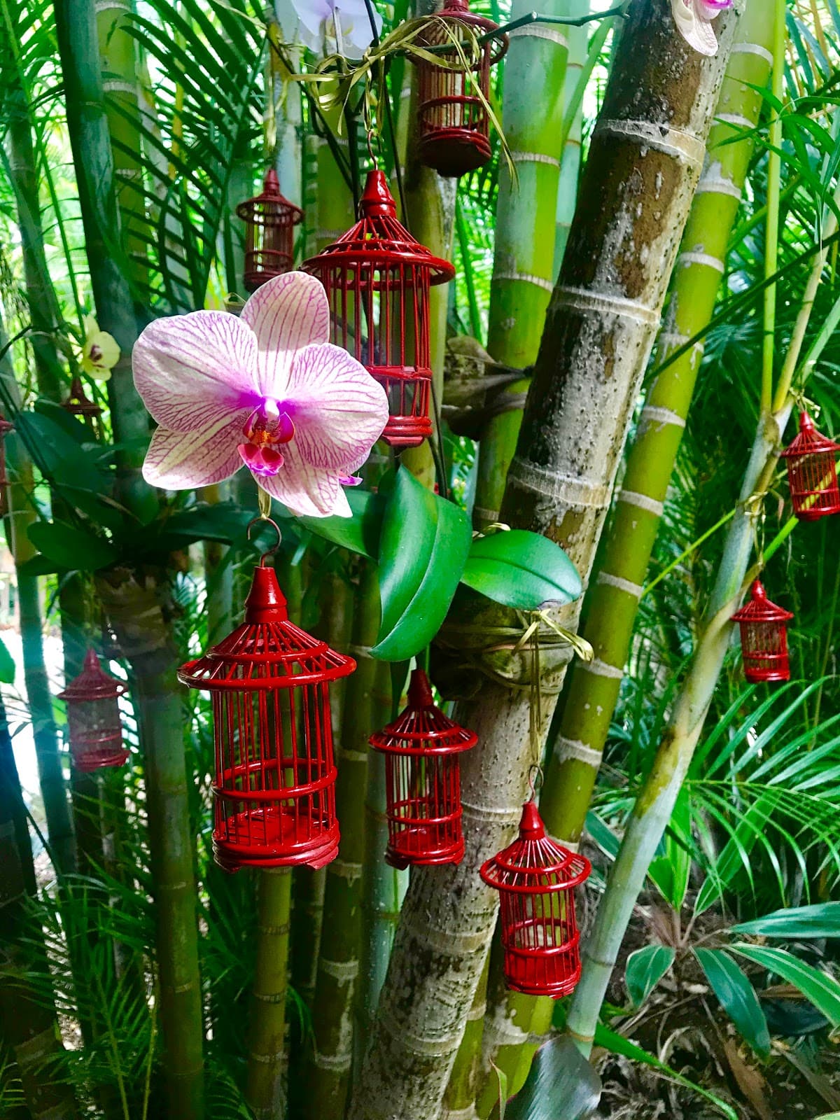 Ikatan Day Spa photo 4