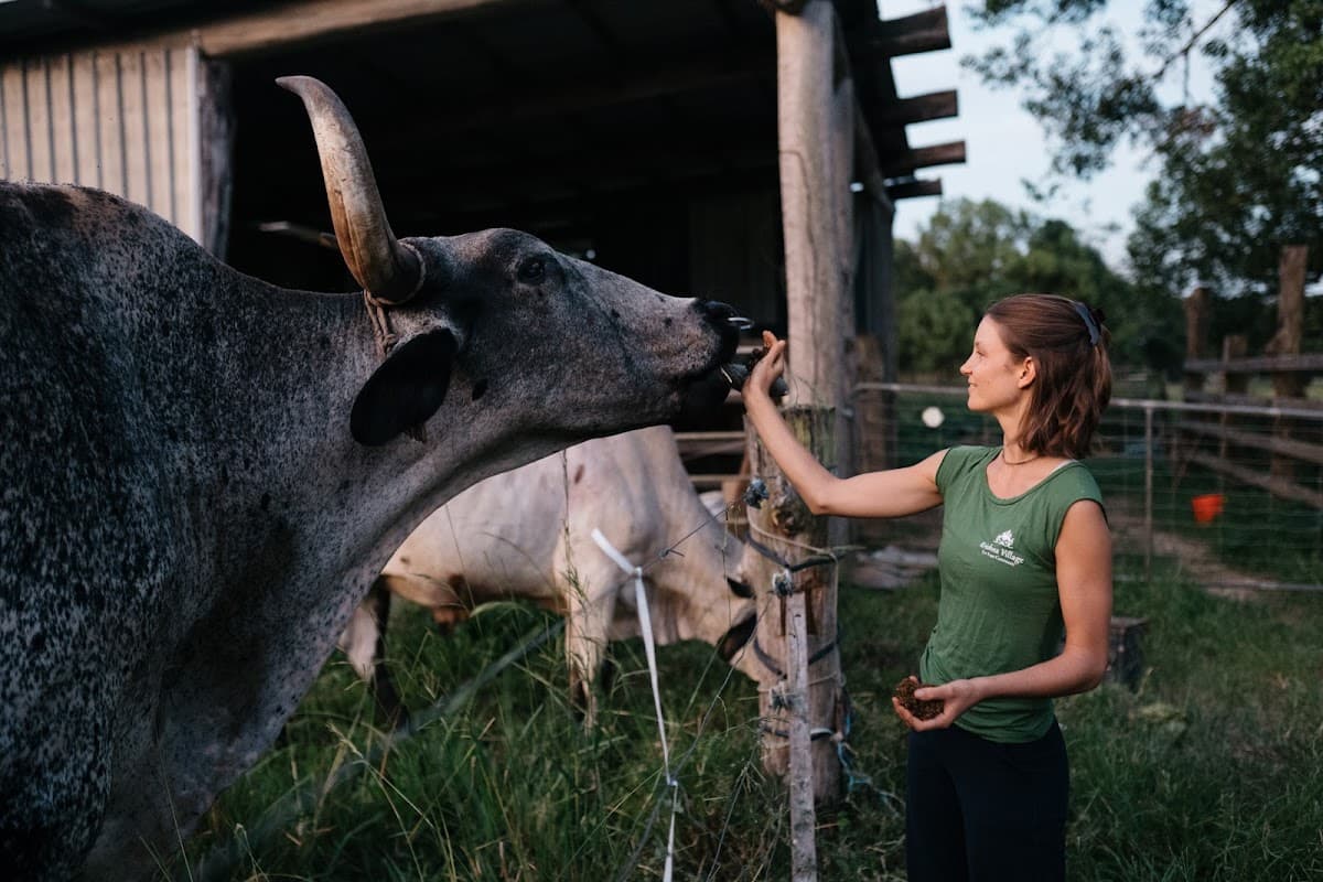 Krishna Village photo 2