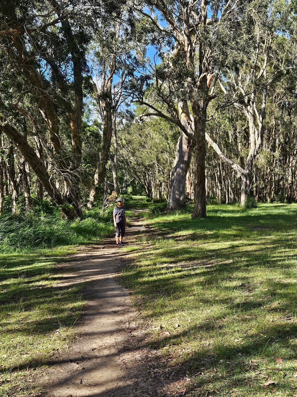 Lake Weyba Foreshore Public Park photo 3