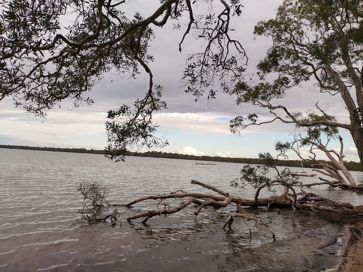 Lake Weyba Foreshore Public Park photo 4