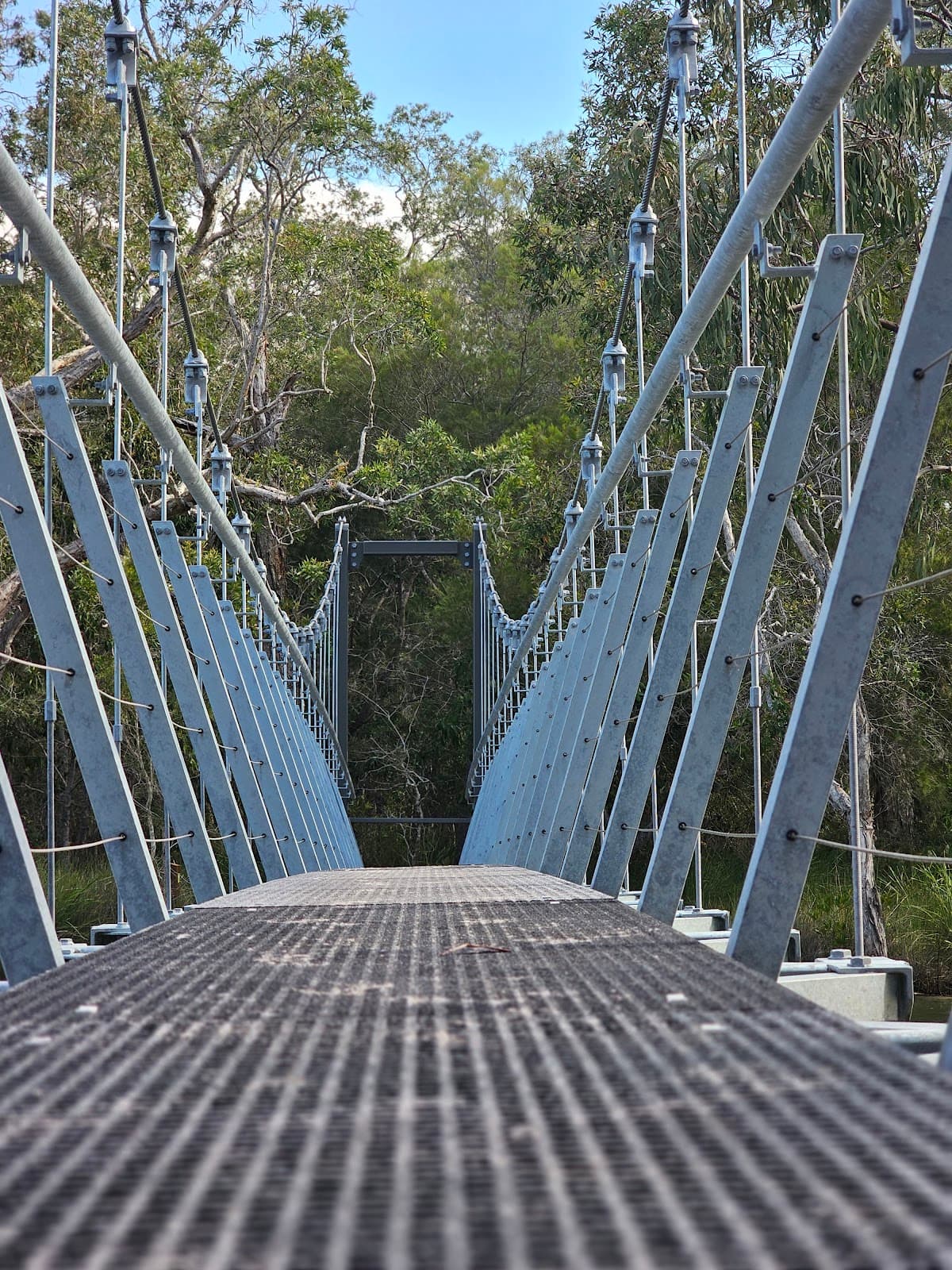 Lake Weyba Foreshore Public Park photo 5