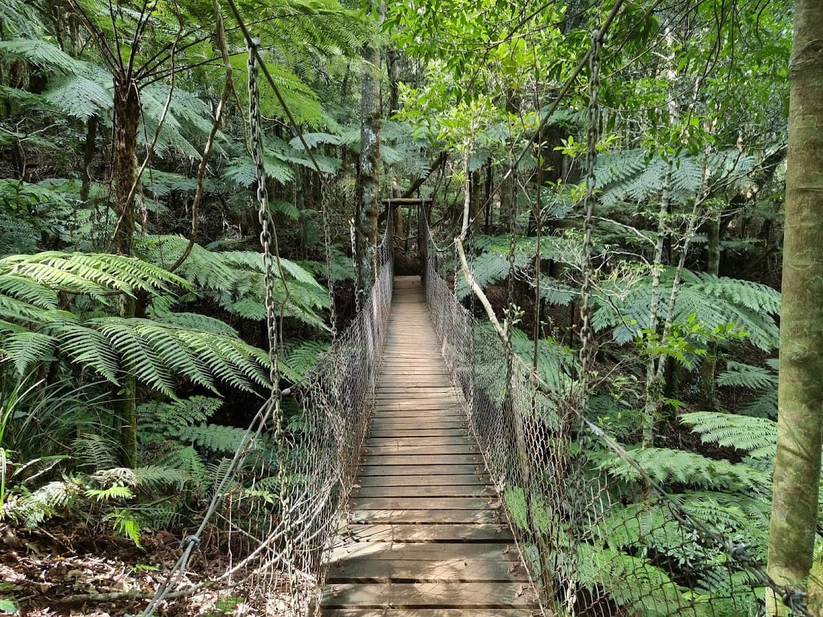 Lamington National Park photo 5