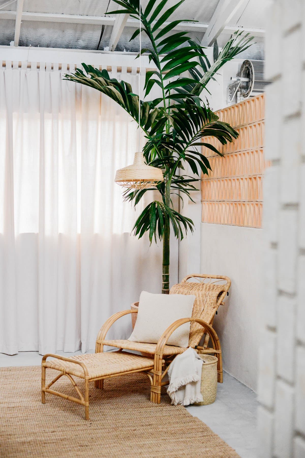 Little Company - Byron Bay photo 5