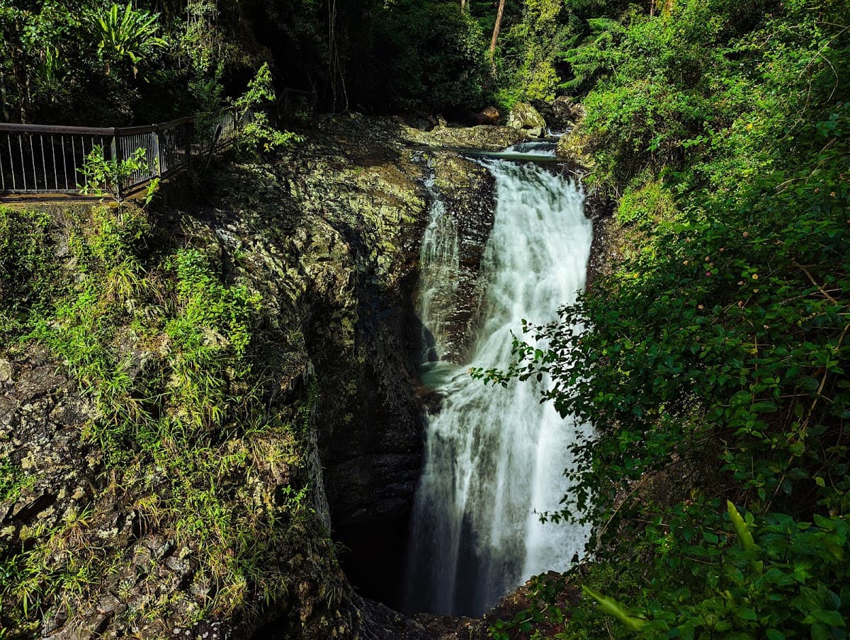 Natural Bridge, Springbrook National Park photo 2
