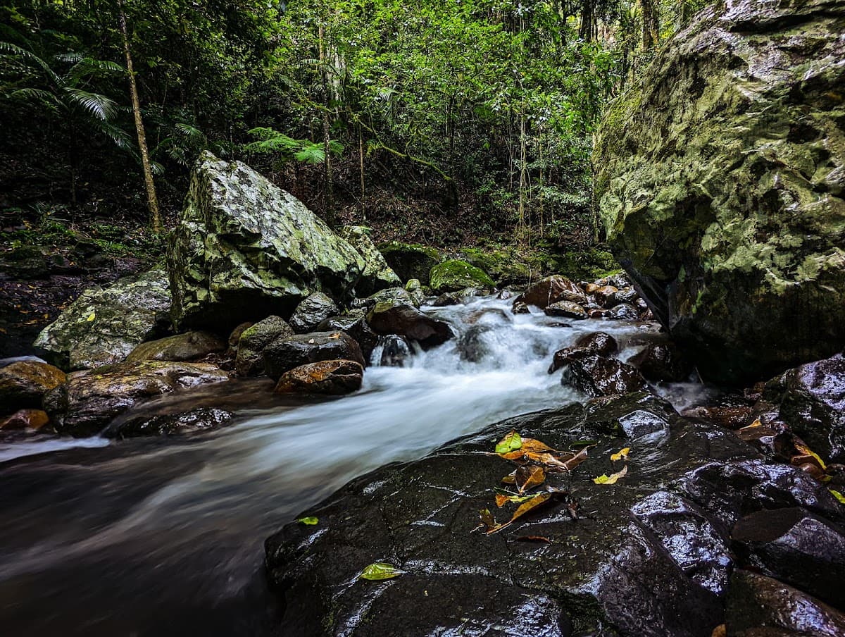 Natural Bridge, Springbrook National Park photo 3