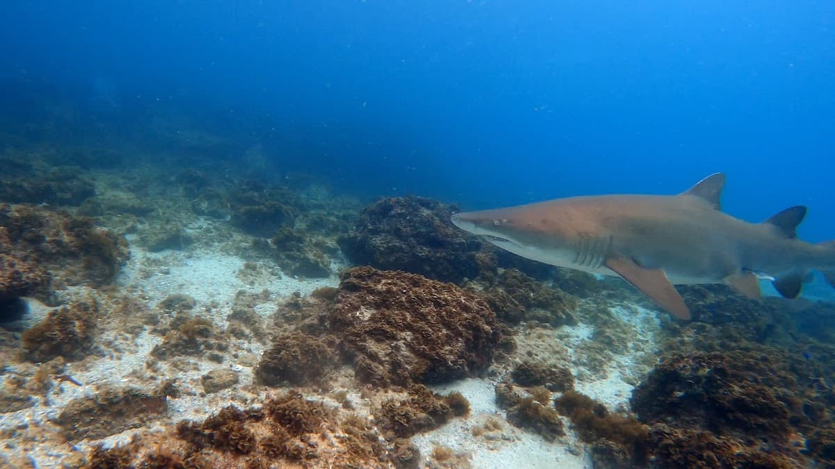 Nguthungulli Julian Rocks Nature Reserve photo 3