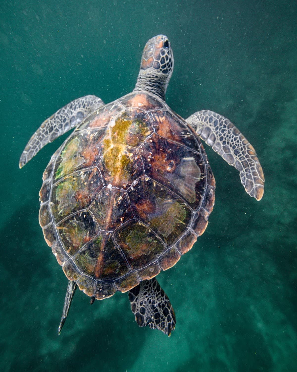 Nguthungulli Julian Rocks Nature Reserve photo 4