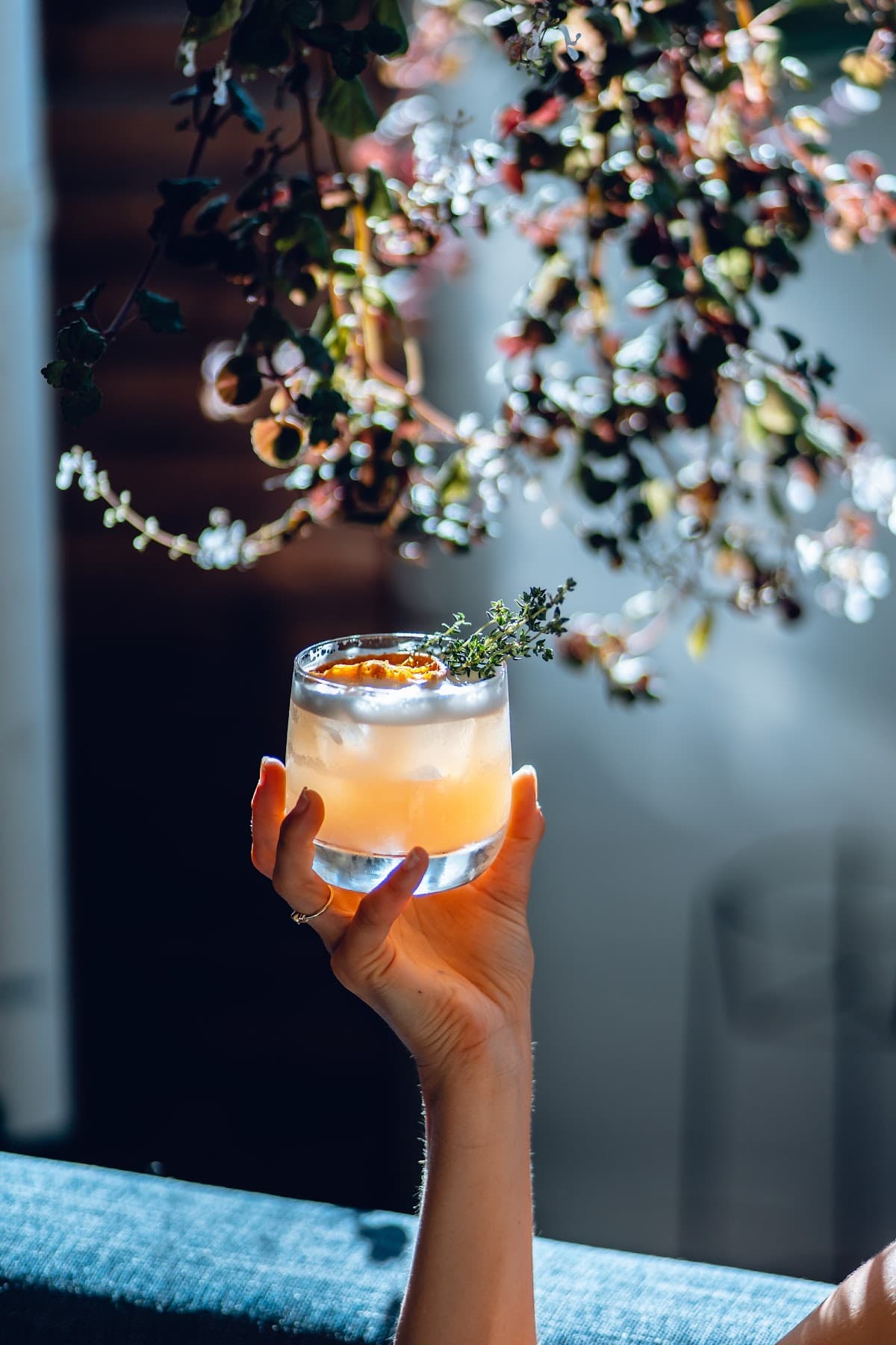 No Bones Byron Bay photo 2