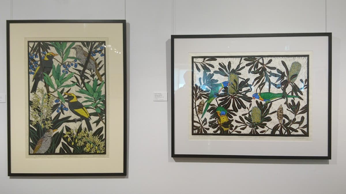 Noosa Regional Gallery photo 5