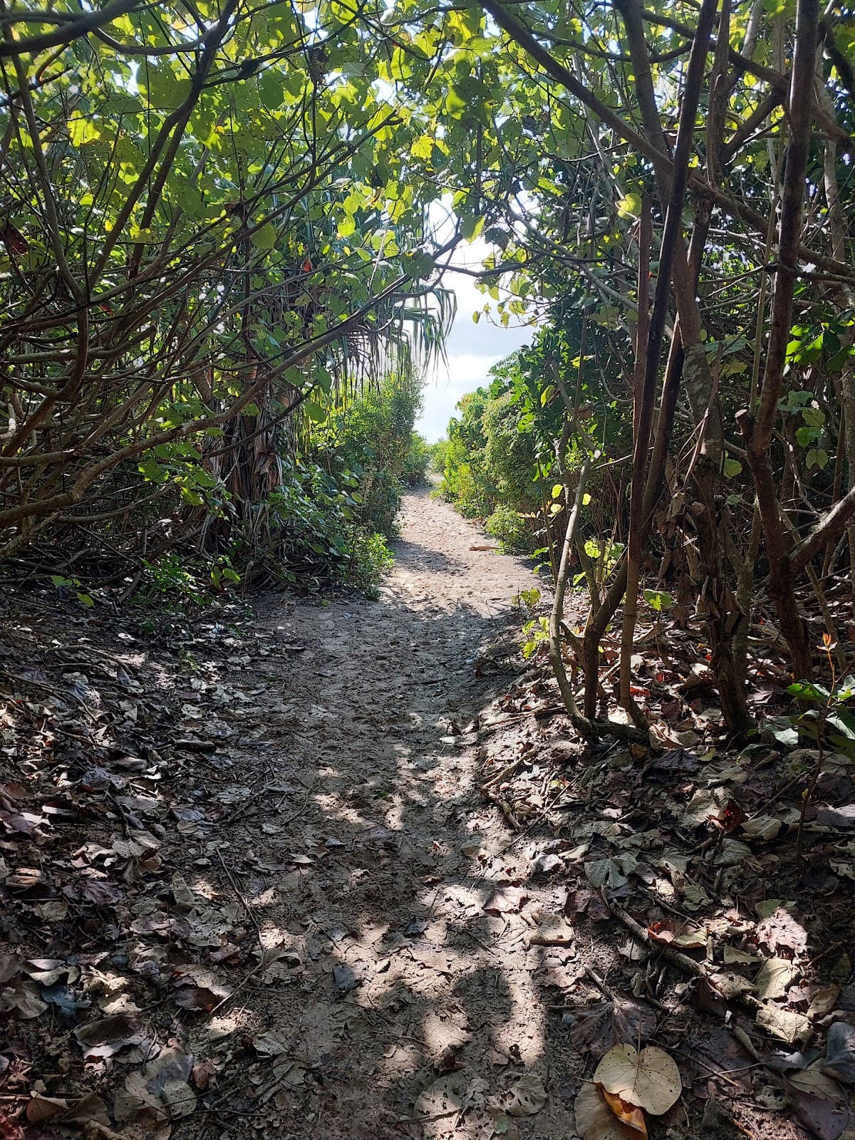 North Head walking track photo 5