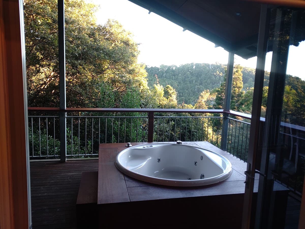 O'Reilly's Rainforest Retreat photo 4