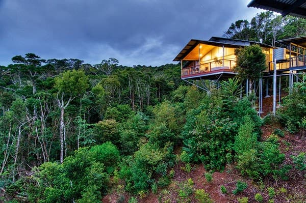 O'Reilly's Rainforest Retreat photo 5