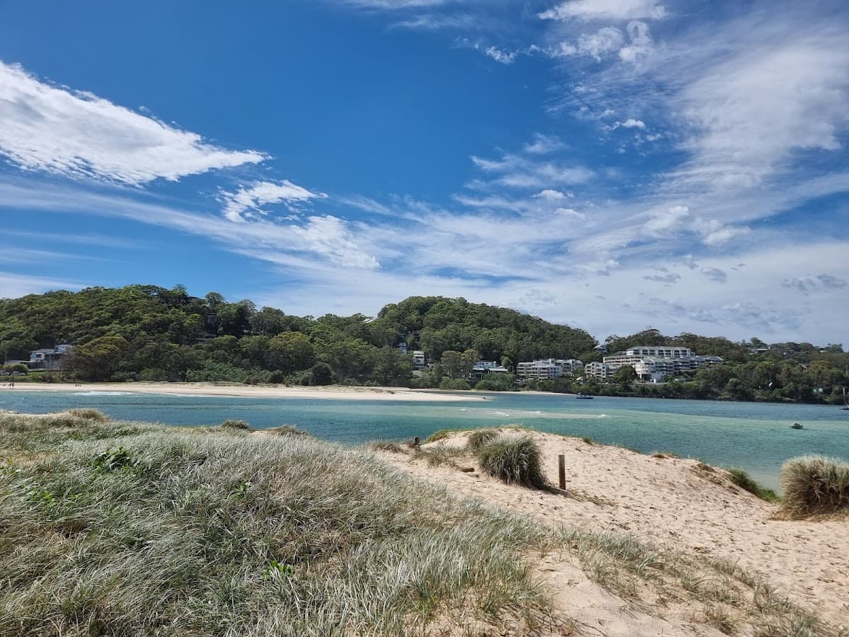 Palm Beach Dog Off-Leash Beach photo 2