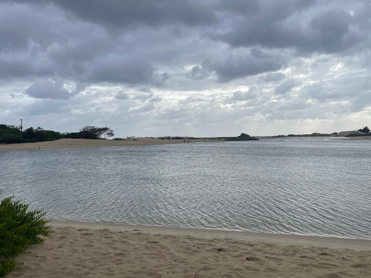 Palm Beach Parklands photo 4