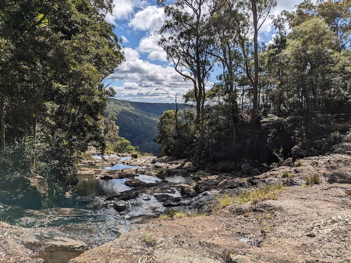 Purling Brook Falls, Springbrook National Park photo 4