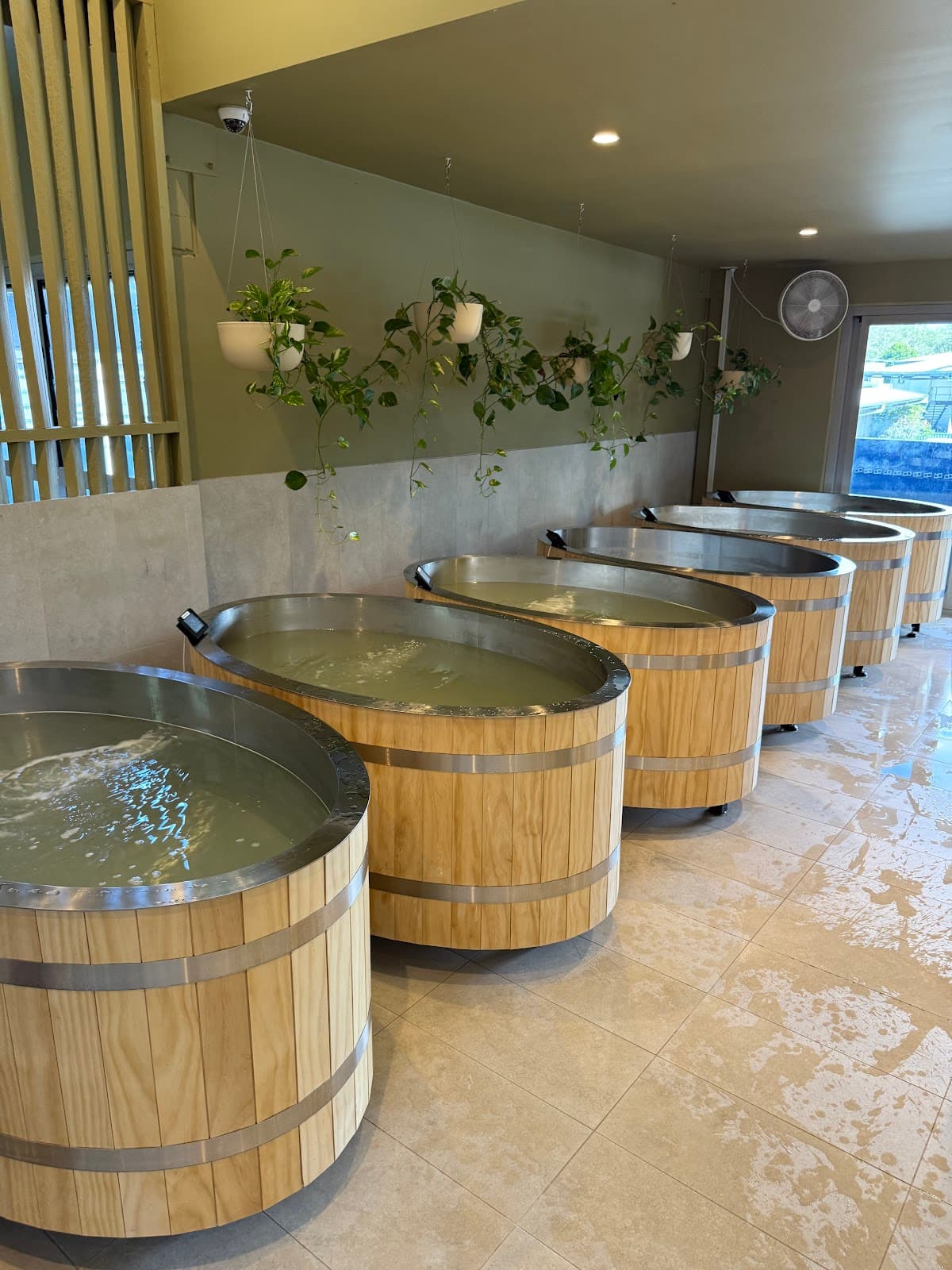 Social Remedy photo 4