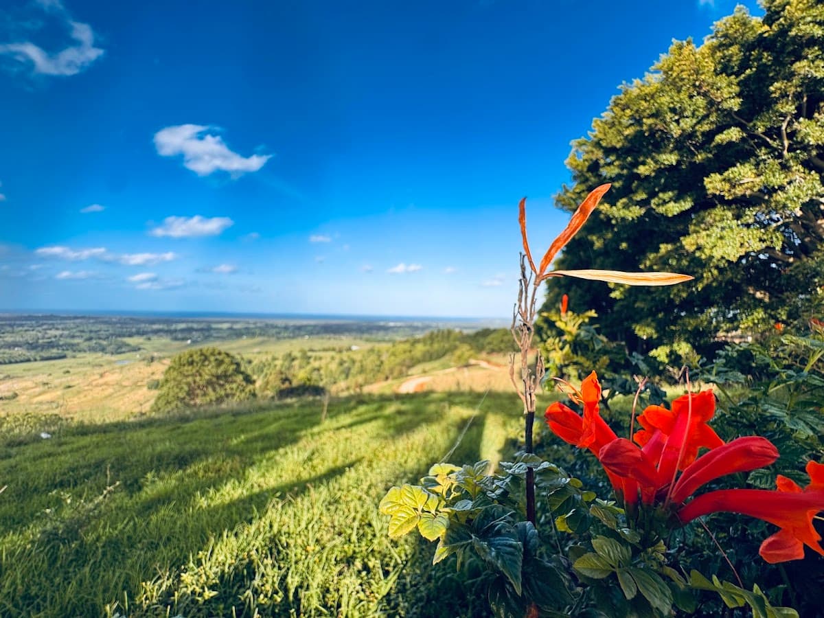 St Helena lookout photo 3