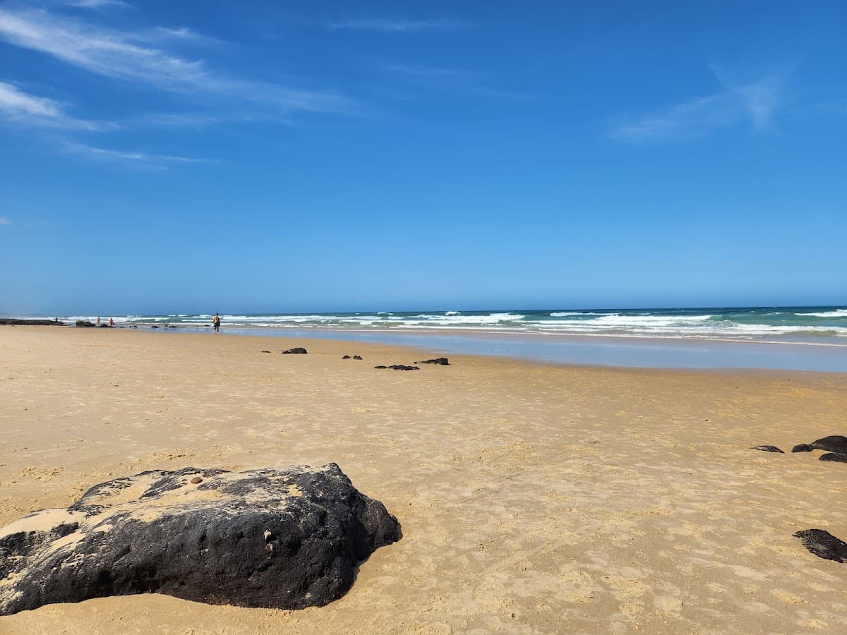 Stumers Creek Dog Offleash Area photo 3