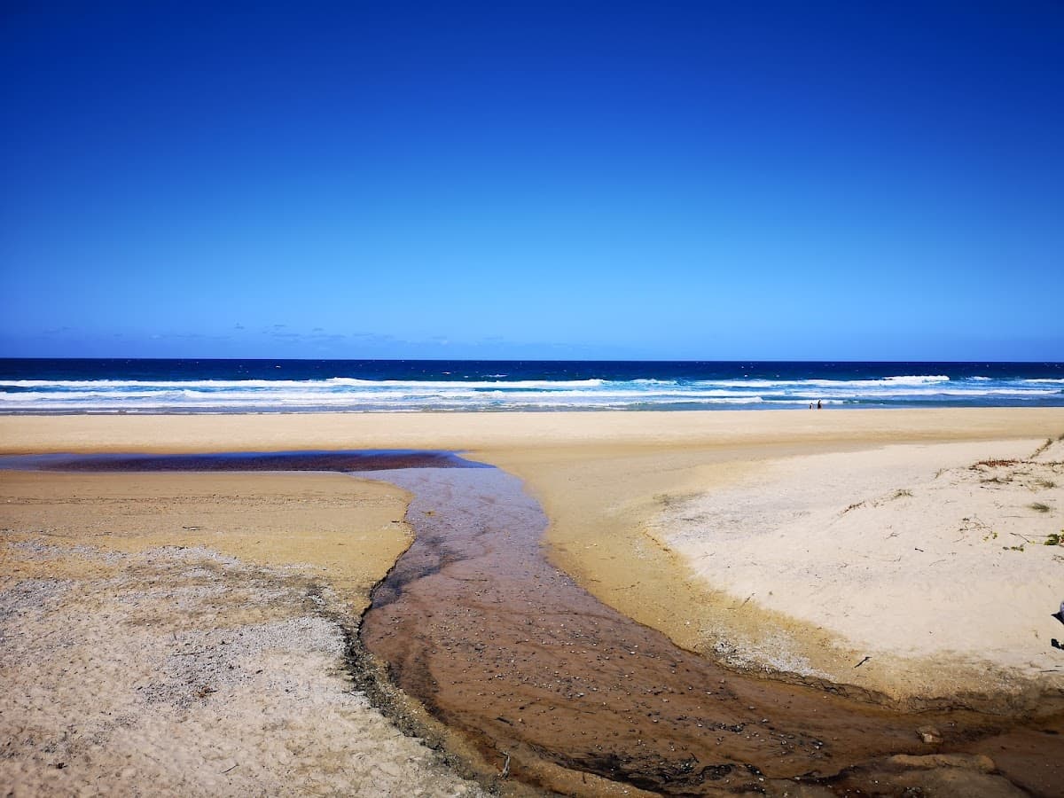 Sunshine Beach Dog Off Leash Area - Beach Access #29 and North photo 4