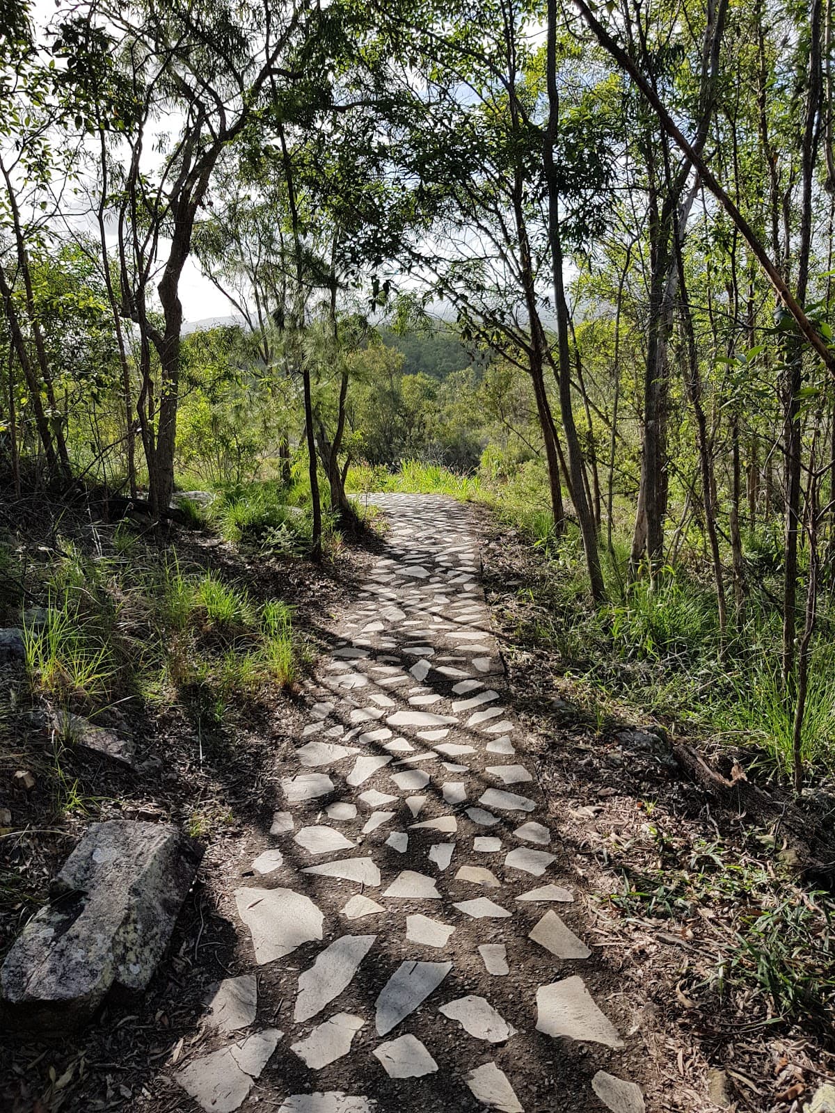 Tewantin National Park photo 3