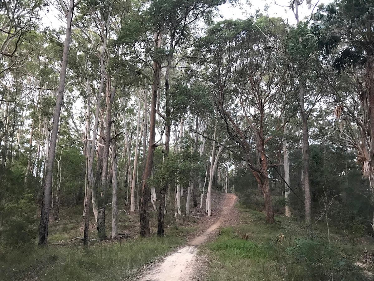 Tewantin National Park photo 4