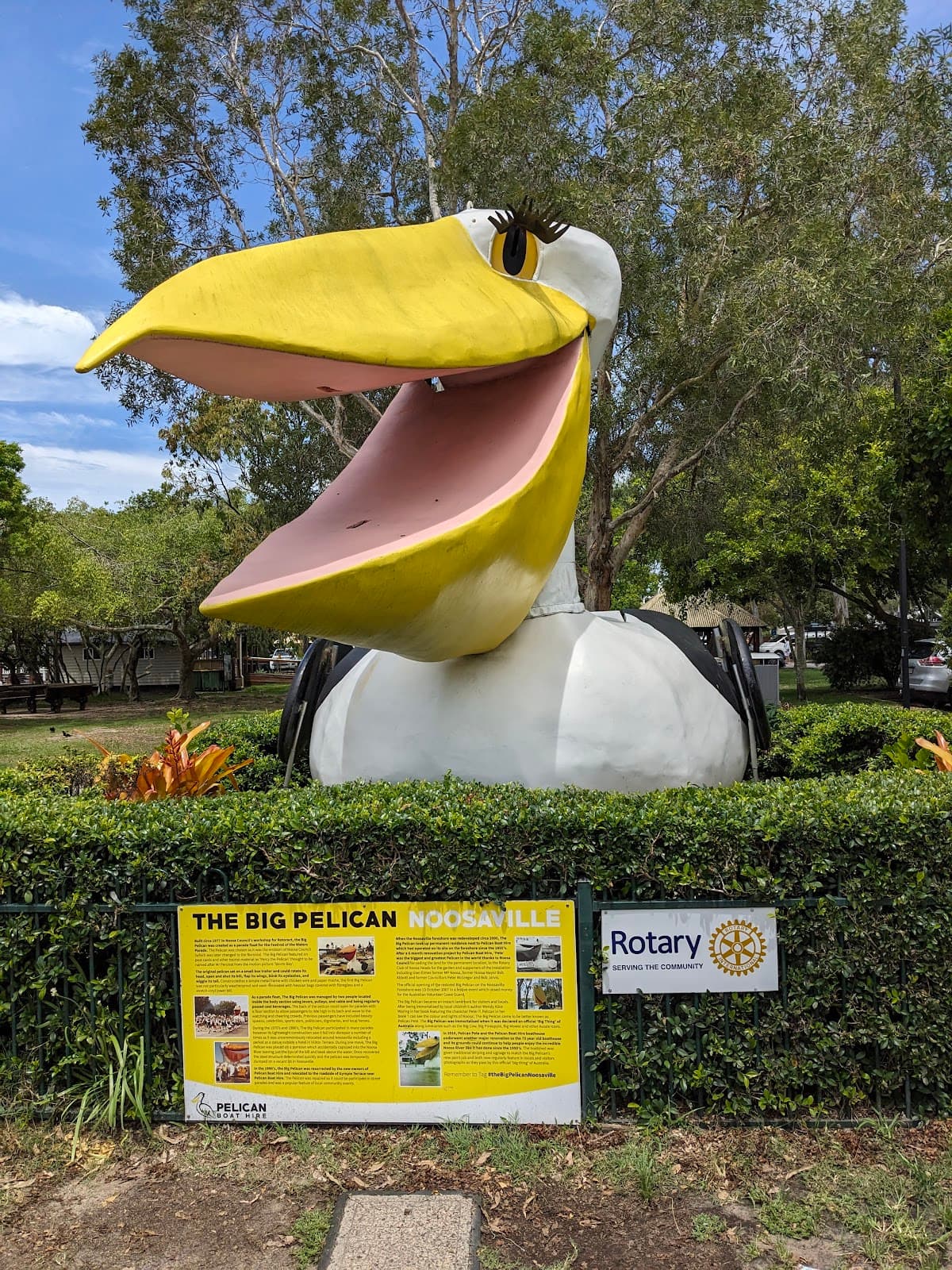 The Big Pelican