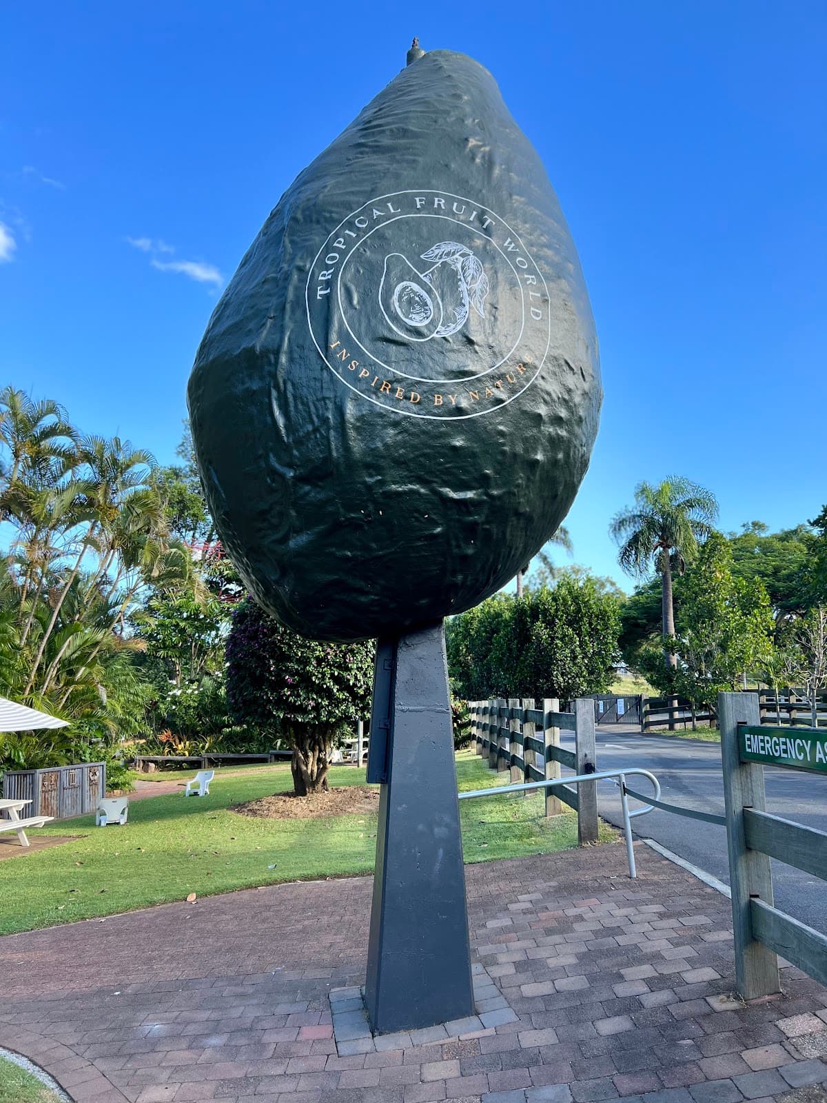 Tropical Fruit World photo 2