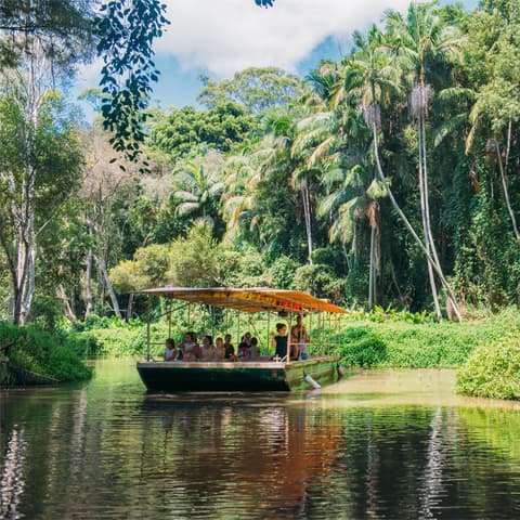 Tropical Fruit World photo 5