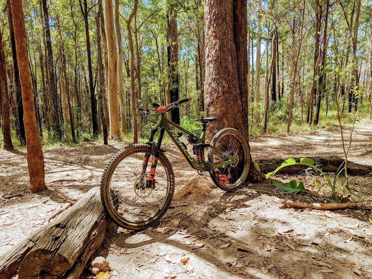 Wooroi Day Use Area photo 3
