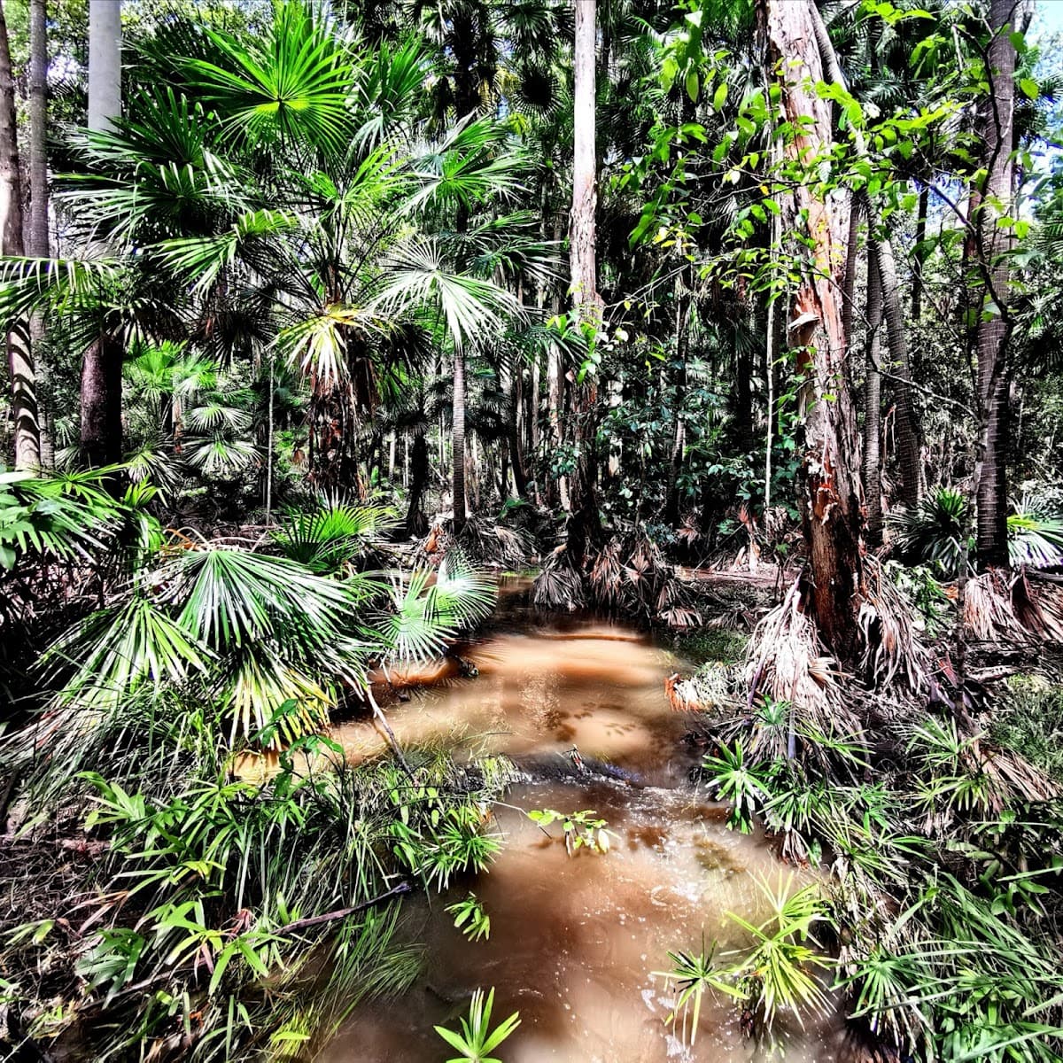 Wooroi Day Use Area photo 4